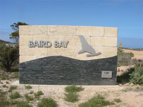 Baird Bay Camping Ground Streaky Bay Official Tourism Website