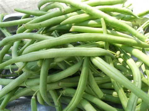 Haricots verts à lail et parmesan