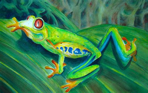 Red Eyed Tree Frog On Leaf Painting By Myra Evans Pixels