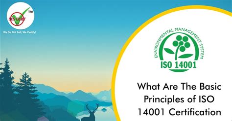 What Are The Basic Principles Of Iso 14001 Certification