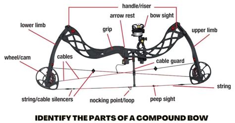 How To Identify The Parts Of A Compound Bow Beginners Guide 2022