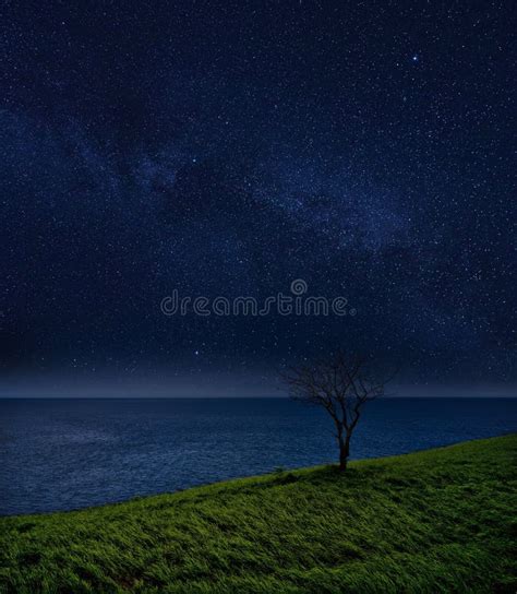 Lonely Tree And The Ocean Against The Starry Sky Night Landscape Stock