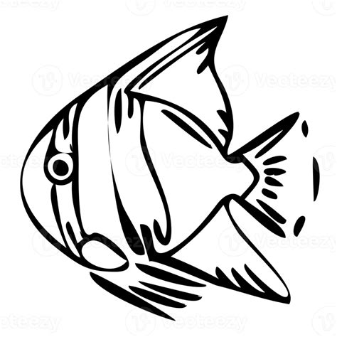 Fish Black And White Line Art Illustration Png With Transparent