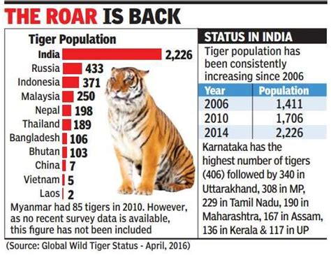 Animal Adventurer Global Wild Tiger Population Rises By 22