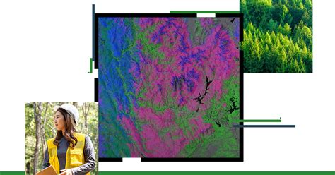 Forest Management Forest Mapping Using Gis