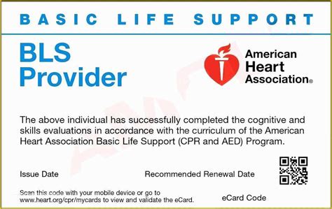 Fake Printable Cpr Certification Card