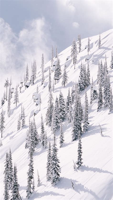 Download Wallpaper 2160x3840 Slope Mountain Trees Winter Snow