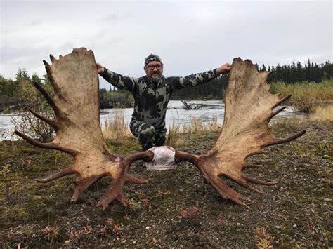Outdoors Took Giant Moose In Alaska Sports