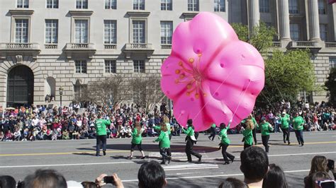 How To Get To—or Avoid—the Cherry Blossom Festival Parade