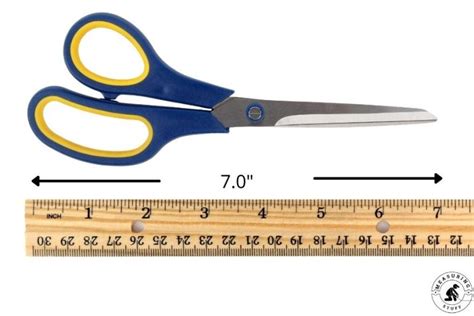 9 Common Things That Are 7 Inches Long Measuring Stuff