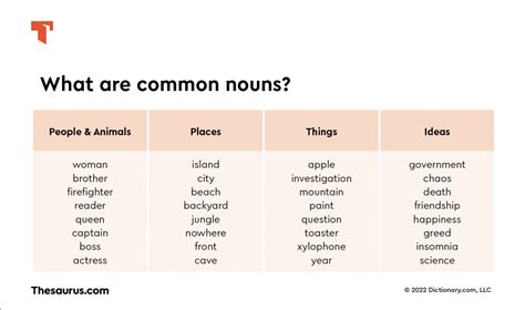 10 Common Nouns