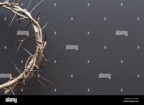 Half Crown Of Thorns Border Or Frame On Black Background With Copy