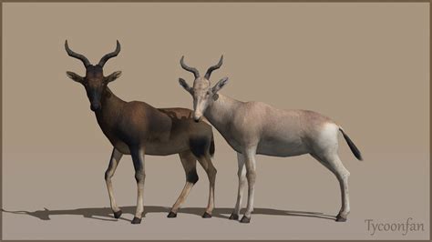 Remade Swayes And Tora Hartebeest By Marcpardo On Deviantart
