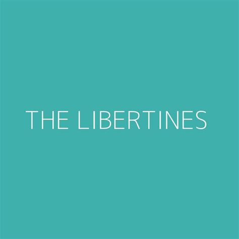 The Libertines Playlist Most Popular Playlist Kolibri Music
