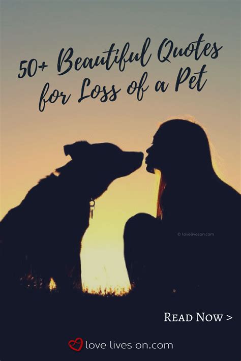 Sympathy Quotes Sayings For Loss Of Pet Artofit