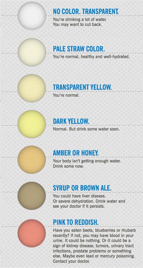 Urine Color Chart Dehydration Urine Color Chart Infographic Health
