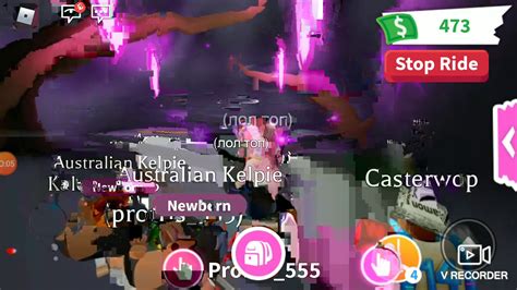 Neon Australian Kelpie Adopt Me неоновый келпи адопт ми 👈😋🤗 Youtube