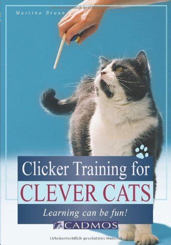 Clicker Training For Clever Cats Feline Behavior Solutions Cat