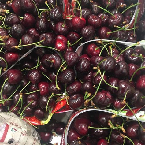 Brooks Cherries Information Recipes And Facts