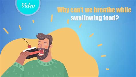 Can t swallow solid food. Why can't we breathe while swallowing food? | Learning ...