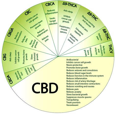 medicinal properties of cbd alchimia grow shop