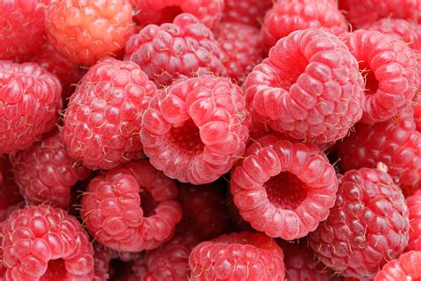 Fileraspberries05 Wikimedia Commons