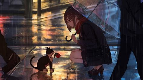 Anime Girl Raining Cat 4k 76 Wallpaper