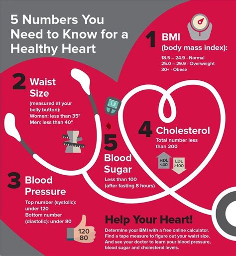 You Need To Know To Have Healthy Heart Heart Health Month Heart