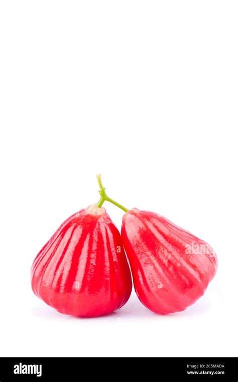 Red Rose Apple Or Water Apples On White Background Healthy Rose Apple