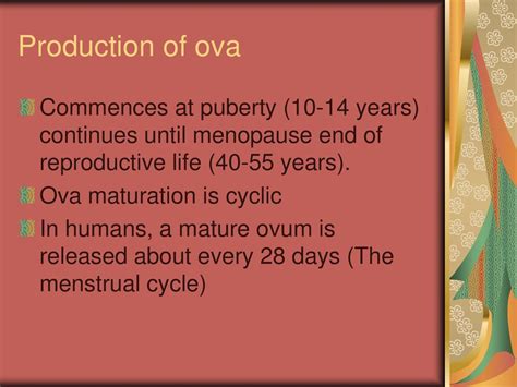 Female Reproductive System Ppt Download