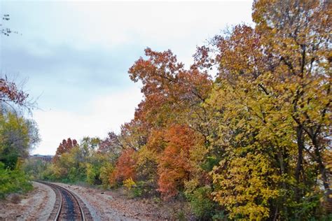 Beautiful Adventure Fall Foliage Train Ride In Arkansas