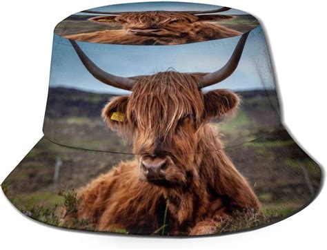 Hdadwy Beef Scotland Highland Beef Cow Ox Meadow Fishermans Hat