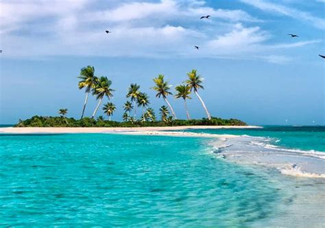 Warwick Paradise Island - Nassau, Bahamas All Inclusive Deals - Shop Now