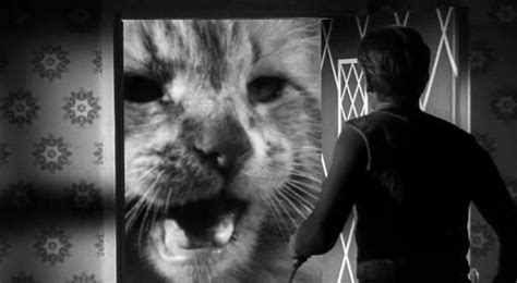 Cat Of The Day 068 The Incredible Shrinking Man Cats On Film