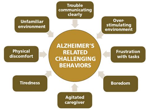 Challenging Dementia Behaviors Dementia Care Services