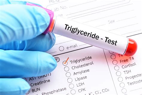 Why Are Triglycerides So Important To Metabolic Health Levels