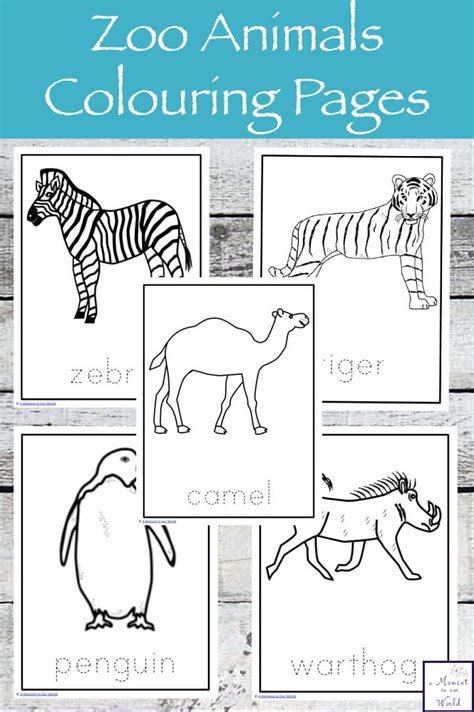 Zoo Animals Colouring Pages Simple Living Creative Learning