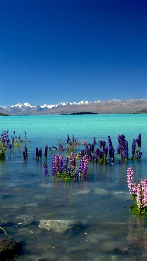 Wallpaper Lake Tekapo New Zealand Mountains 4k Nature