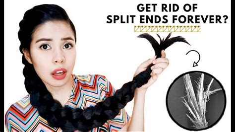 How To Really Get Rid Of Split Ends And Thinning Ends Beautyklove Youtube