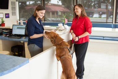Alamo animal hospital is proud to serve vacaville, ca and surrounding areas. Vet Care Pet Clinic Garden Grove Ca - Garden and Modern ...