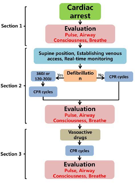 The Three Sections Of Procedure Flow Of Cardiopulmonary Resuscitation