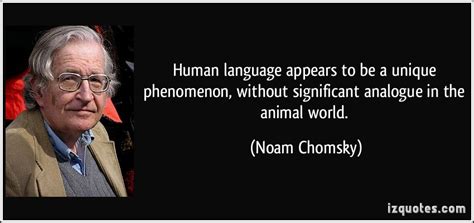 An interview with noam chomsky. Noam Chomsky Quotes Idea. QuotesGram