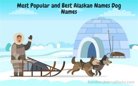 Alaskan Dog Names 300 Stunning Dog Name Ideas Updated 2022 Random