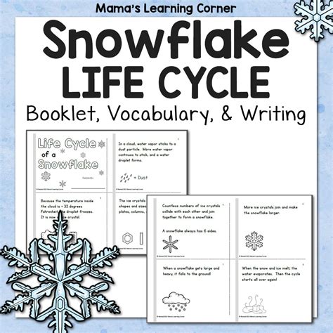 Snowflake Life Cycle Booklet Made By Teachers