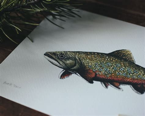 Brook Trout Art Print 8x10 Giclée Watercolor Painting Pen Etsy