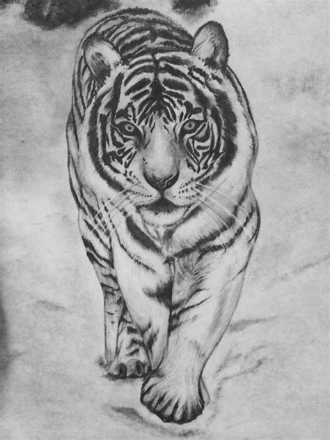 White Tiger Pencil Drawing Done By Danielle Weingart In Tiger