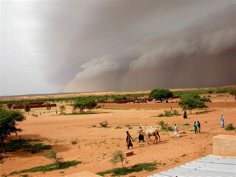 Rainfall Trends In The African Sahel Characteristics Processes And
