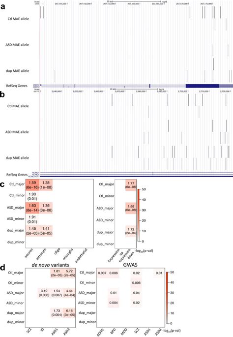 Additional Data For Mae Snps Across Control Asd And Dup15q Groups A
