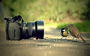 Photography Wallpapers - Top Free Photography Backgrounds - WallpaperAccess