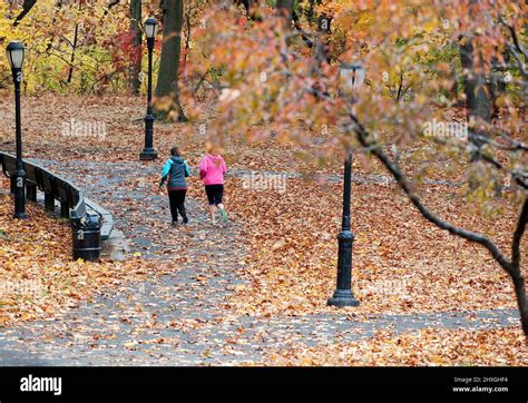 Forest Park In Queens New York City Stock Photo Alamy